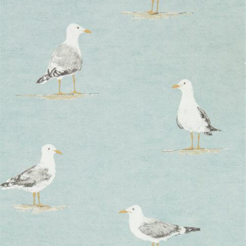 Shore Birds 216564